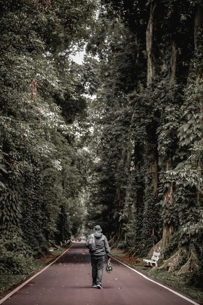 kebun raya bogor masih jadi tempat wisata menarik saat hari jadi Bogor